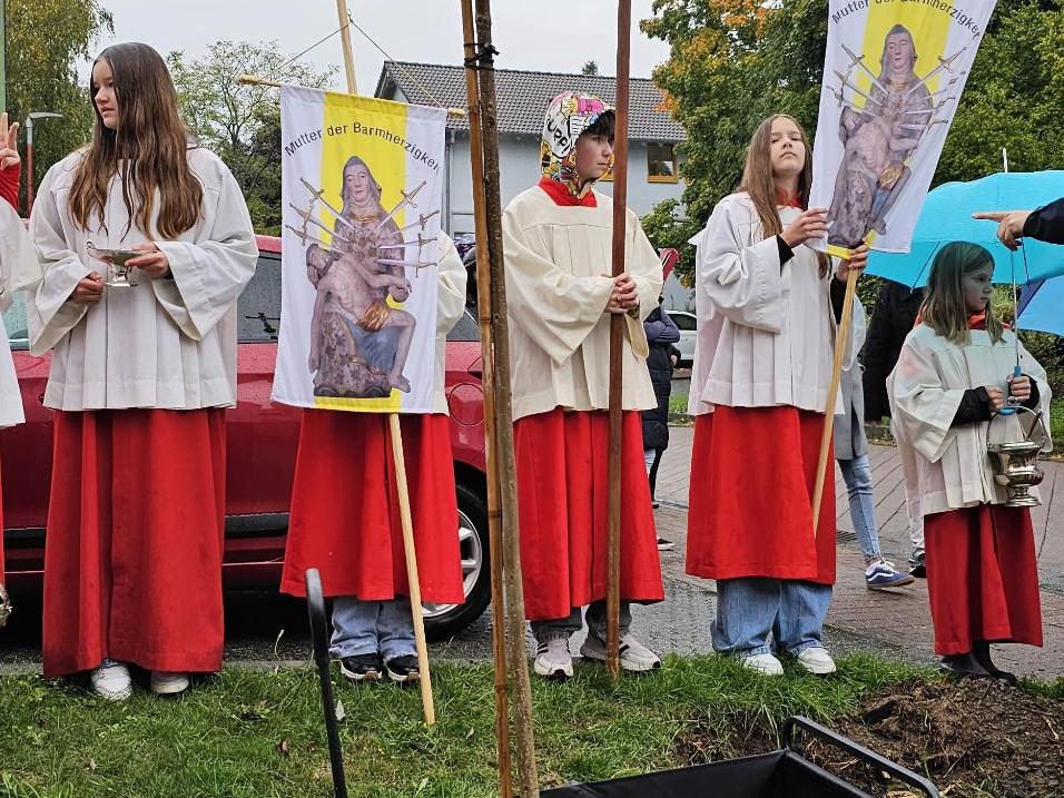 Baumpflanz-Challenge 2025