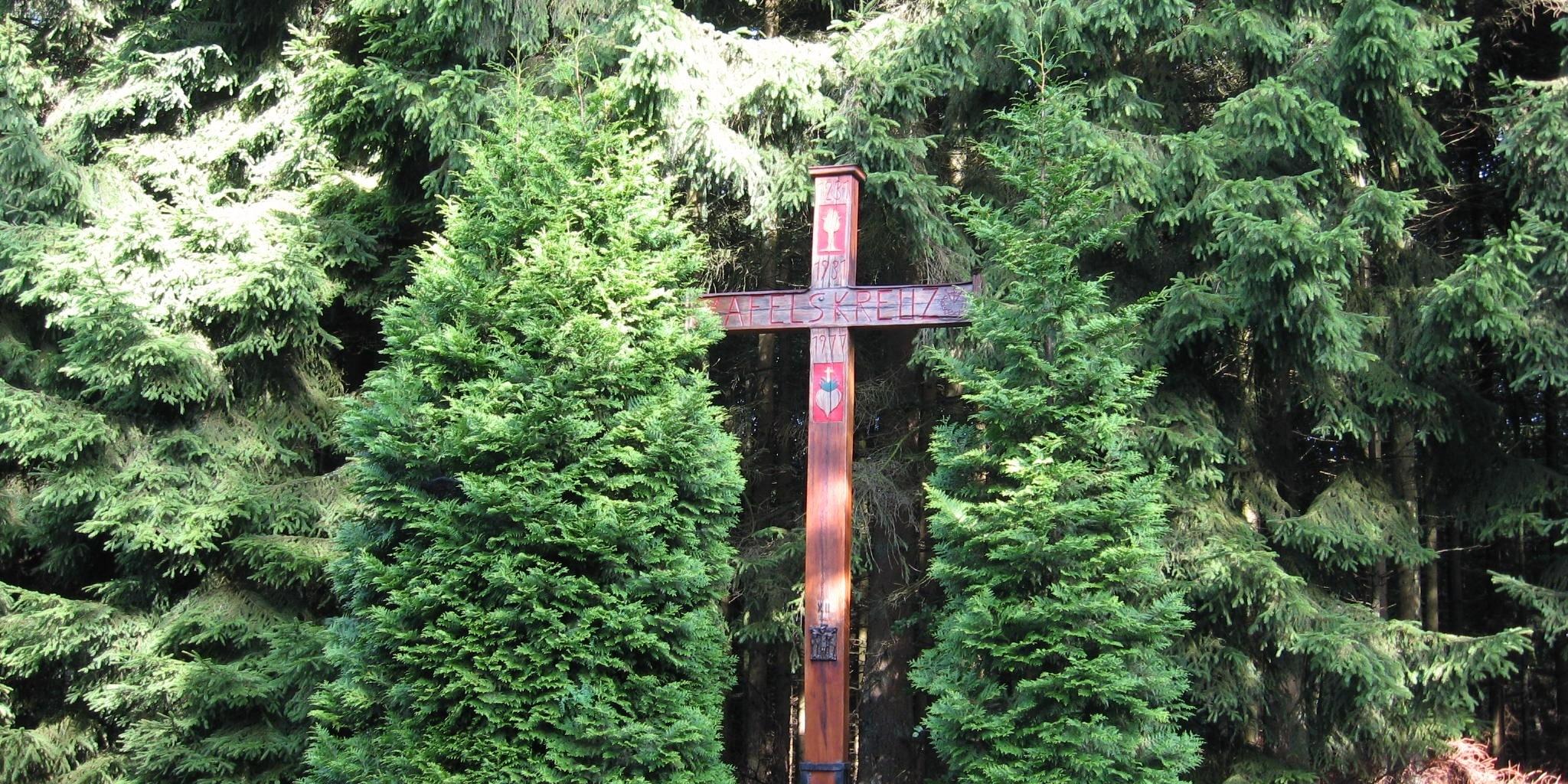 Foto Afelskreuz neu (002)